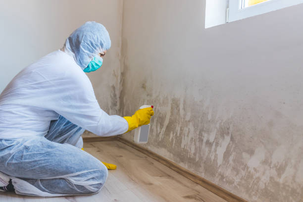Licensed Crawl Space Mold Remediation service in Easton, PA - Car Mold Remediation