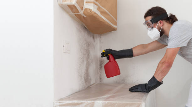 Professional Crawl Space Mold Remediation technician working in Easton, PA