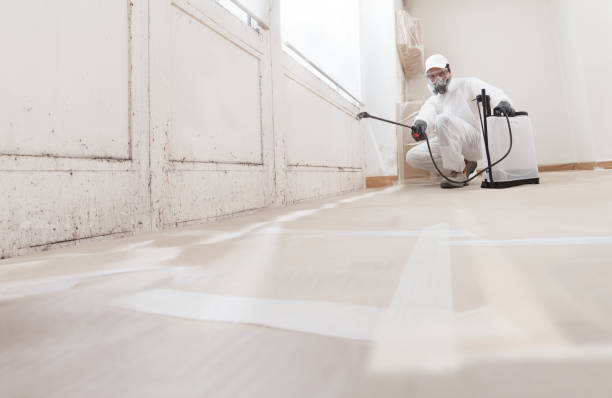24/7 Emergency Crawl Space Mold Remediation experts in Easton, PA