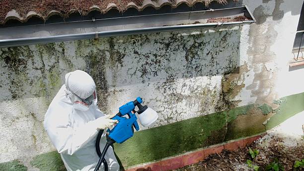 Top rated local Crawl Space Mold Remediation specialists in Easton, PA